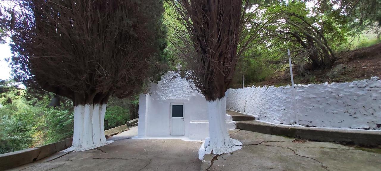 Holiday home Small Traditional House In Asfendiou Kos *